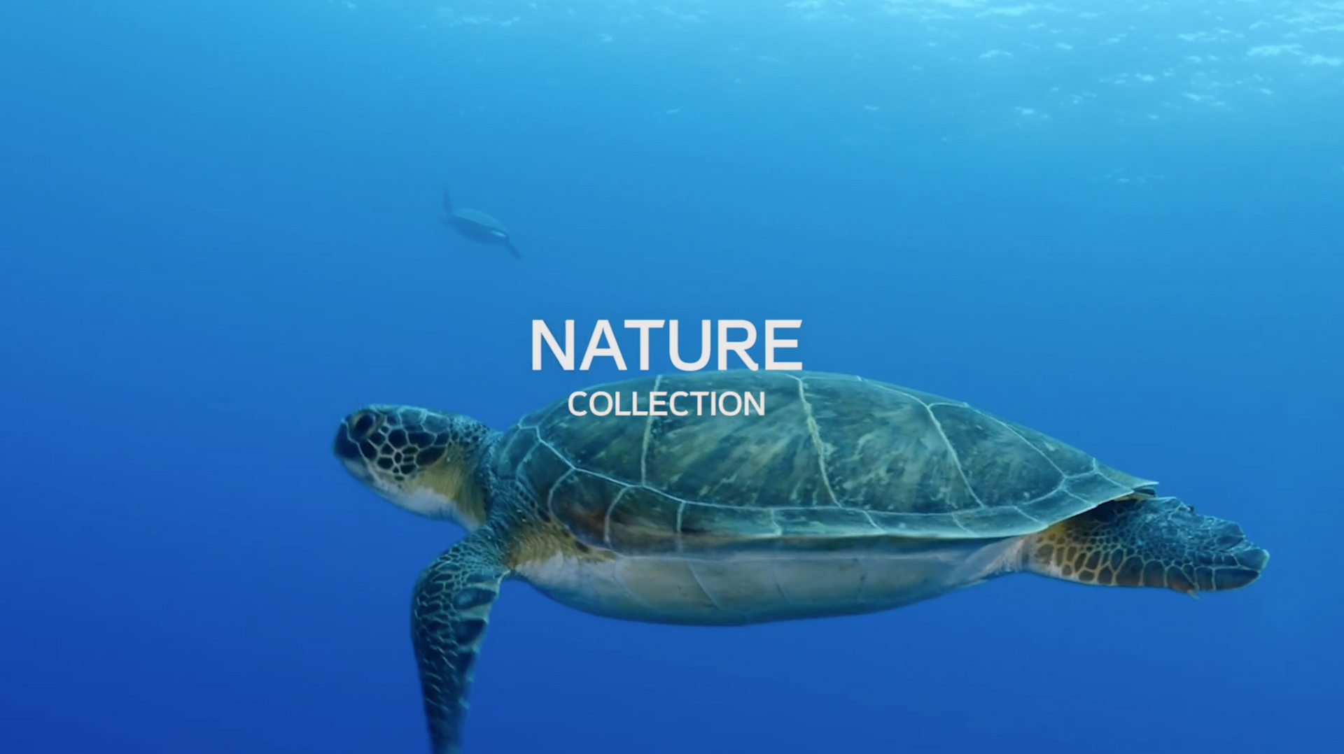 Charger la vidéo : Gamme de matelas Nature matières naturelles et écoresponsables